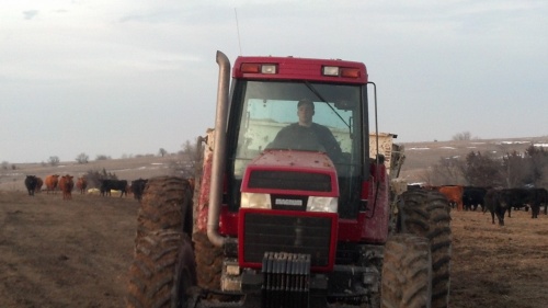 Emmet driving the tractor and feedwagon to deliver the cows their daily ration.